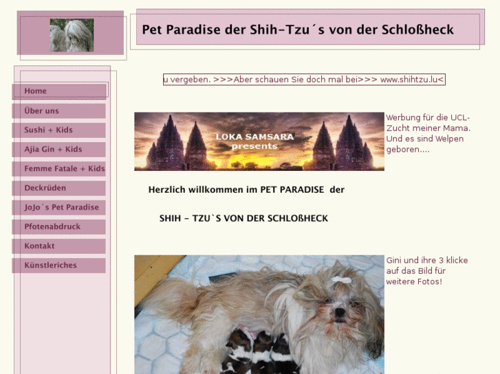 www.jojos-pet-paradise.com