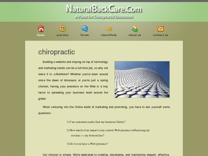 www.naturalbackcare.com