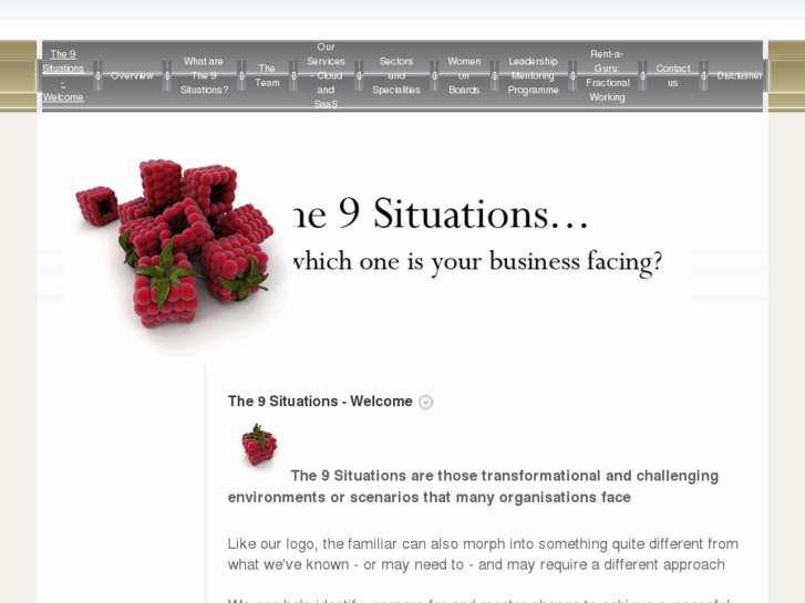 www.the9situations.com