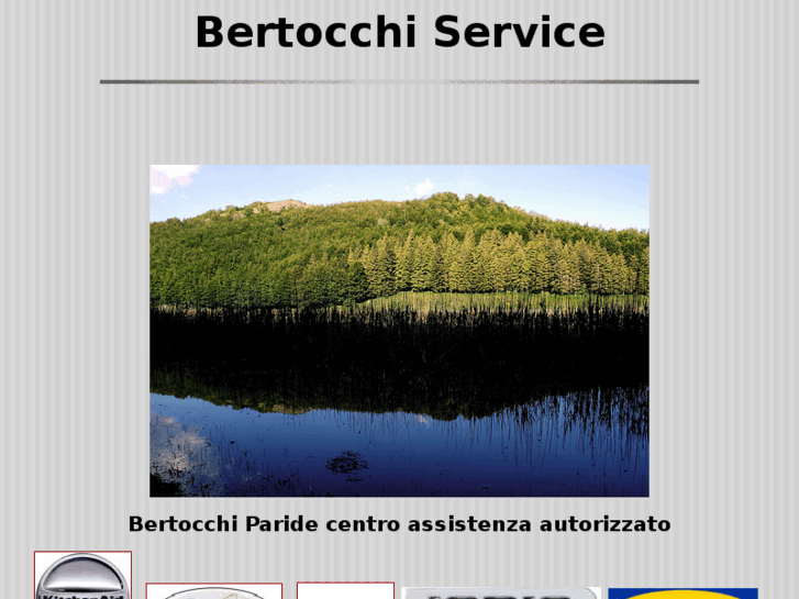 www.bertocchiservice.com