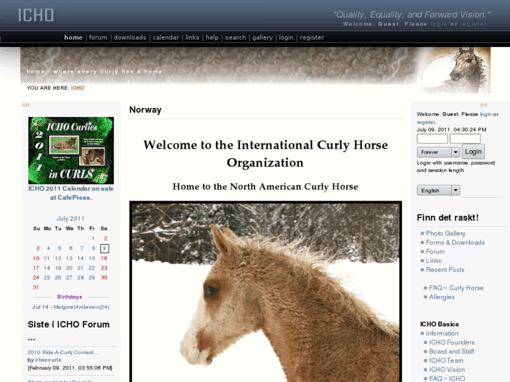 www.curlyhorses.org