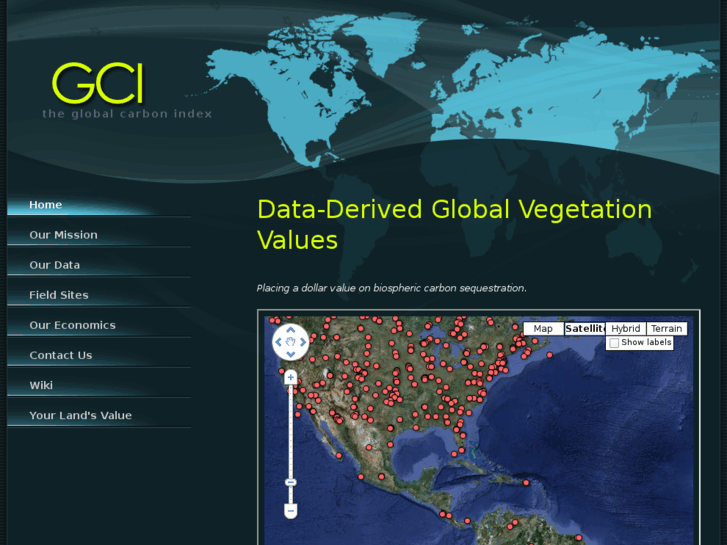 www.globalcarbonindex.org