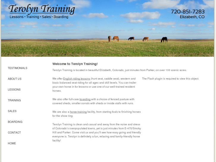 www.terolynhorsetraining.com