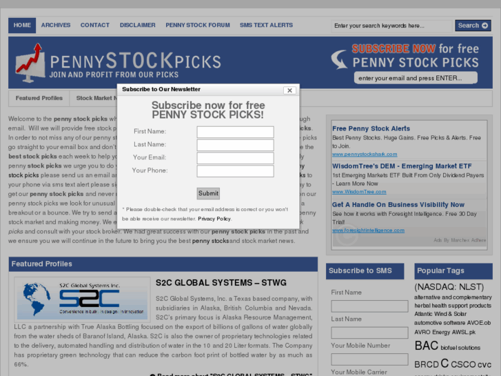 www.thepennystockpicks.com