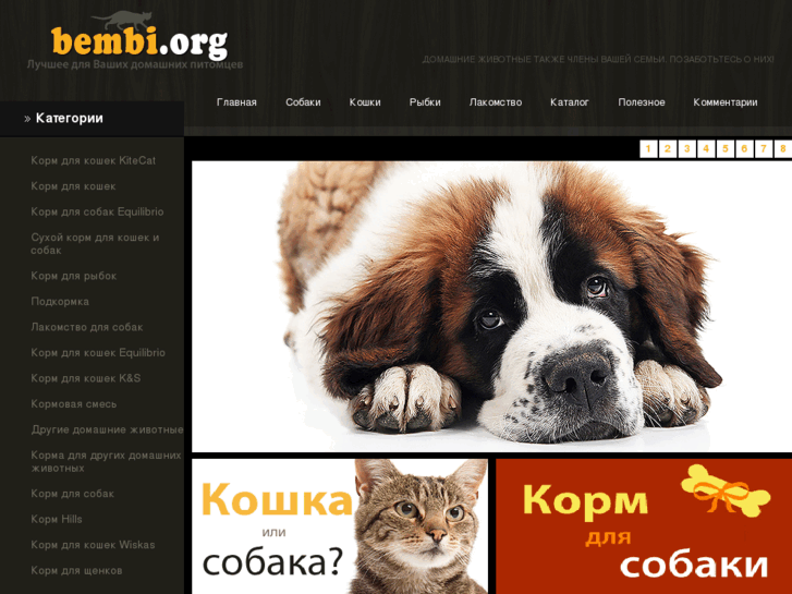 www.bembi.org