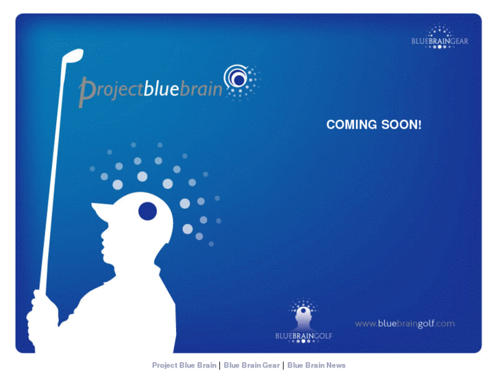 www.projectbluebrain.com