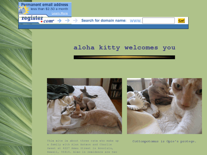 www.alohakitty.com