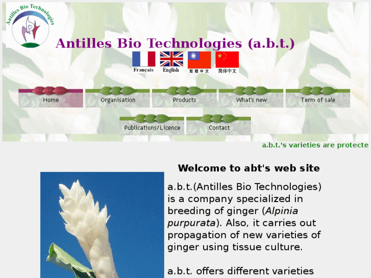 www.antilles-biotech.com