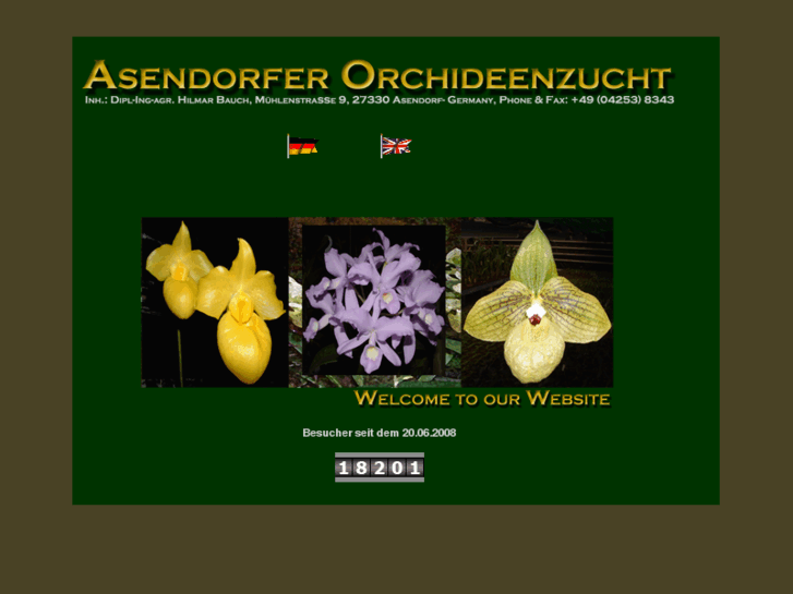 www.asendorfer-orchideenzucht.com