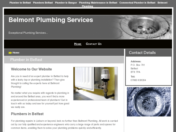 www.belmontplumbingservices.com