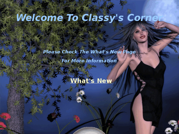 www.classyladytwo.com