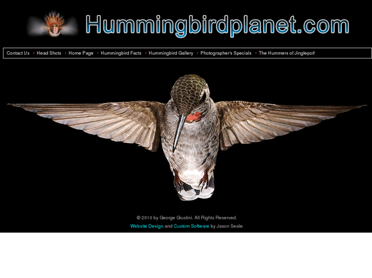 www.hummingbirdplanet.com