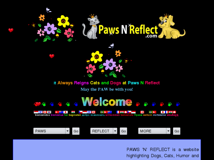 www.pawsnreflect.com