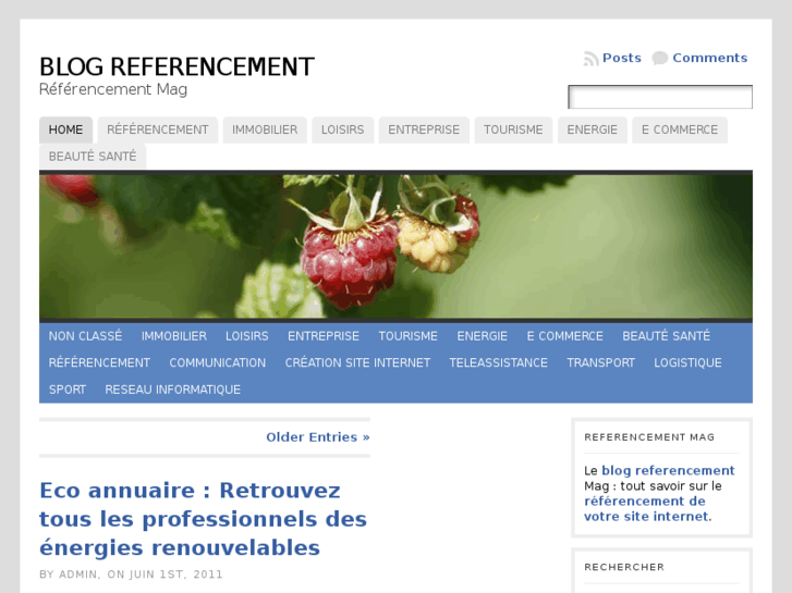 www.referencement-mag.fr