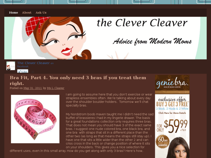 www.theclevercleaver.com