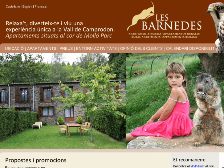 www.barnedes.com