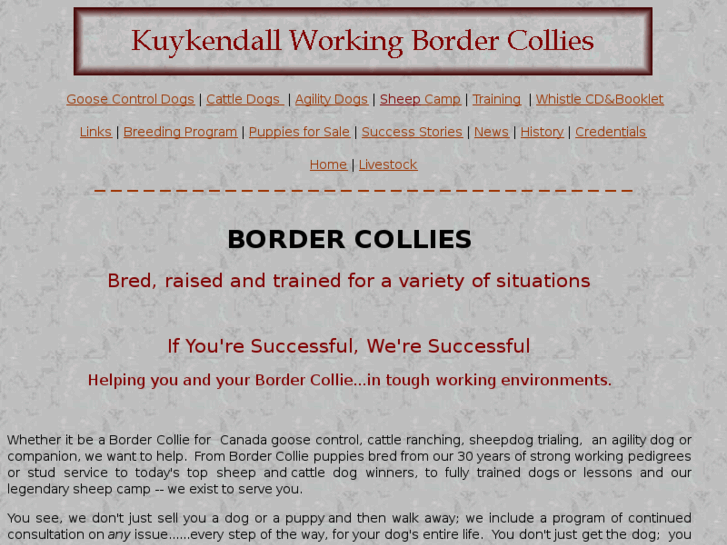 www.border-collie-dog.com