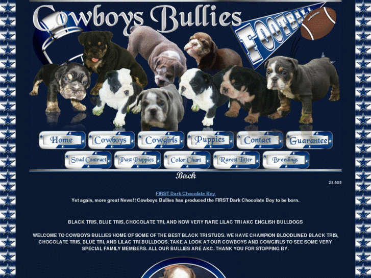 www.cowboysbullies.com