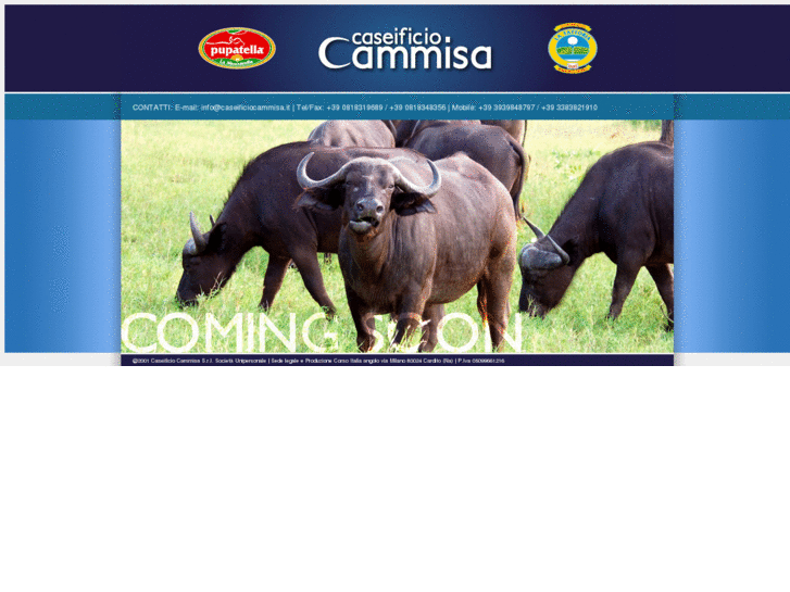 www.formaggicammisa.com