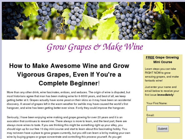 www.grapesmakewine.com