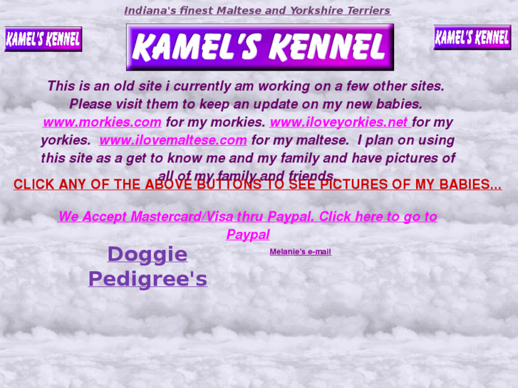 www.kamels.net