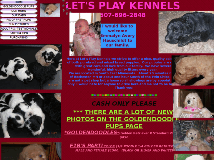 www.letsplaykennels.com