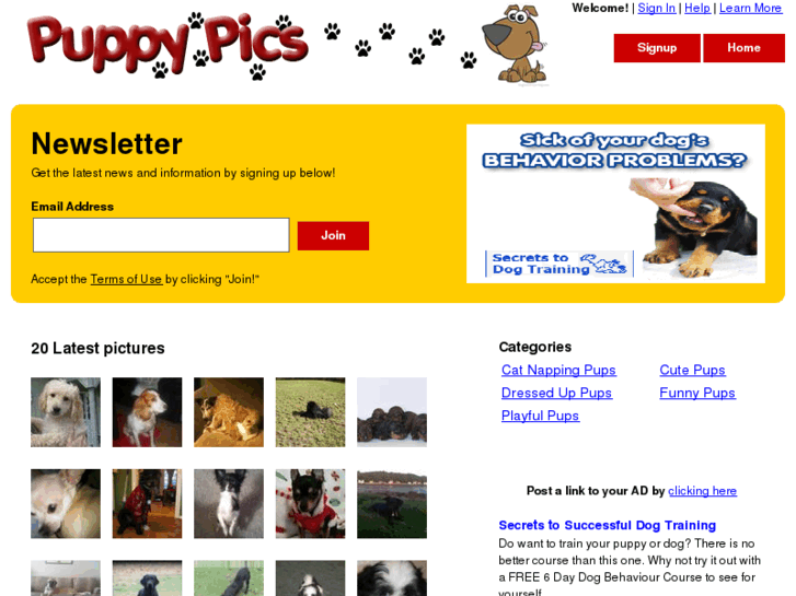 www.puppy-pics.com