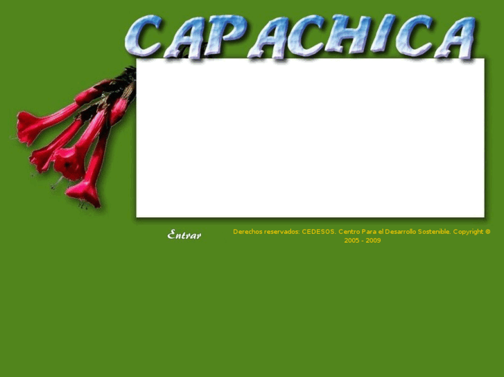 www.capachica.com