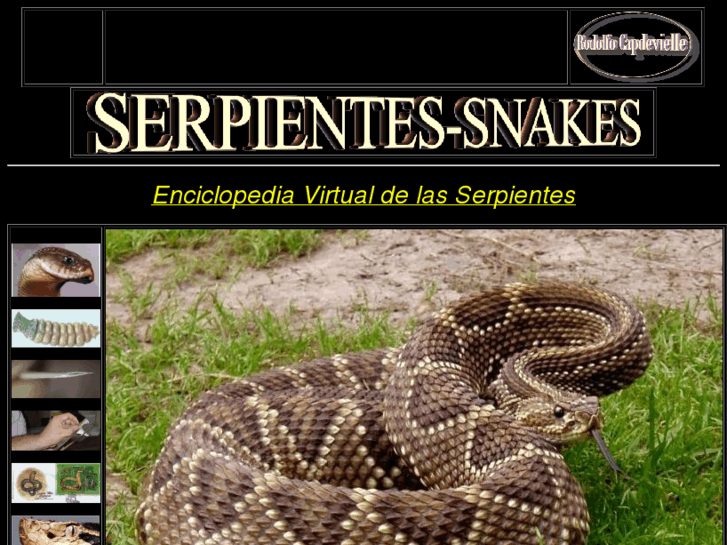 www.serpientes-snakes.com.ar