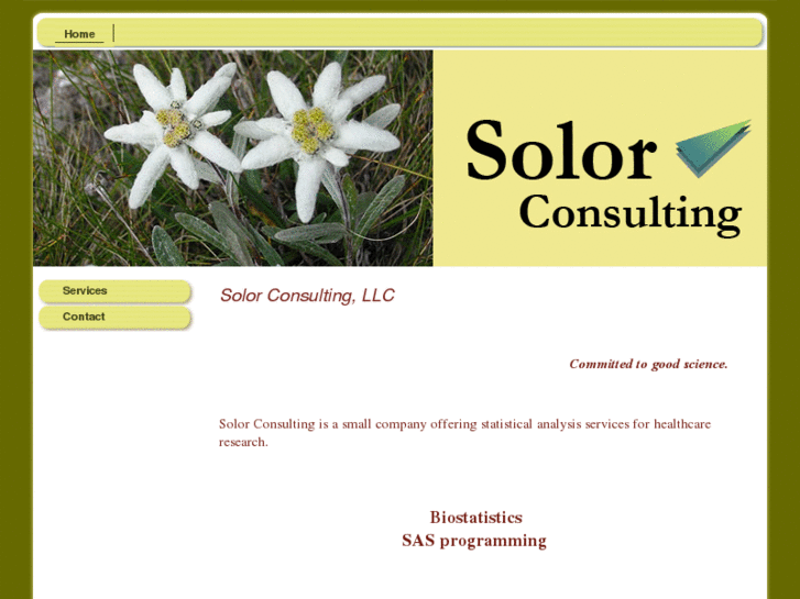 www.solorconsulting.com