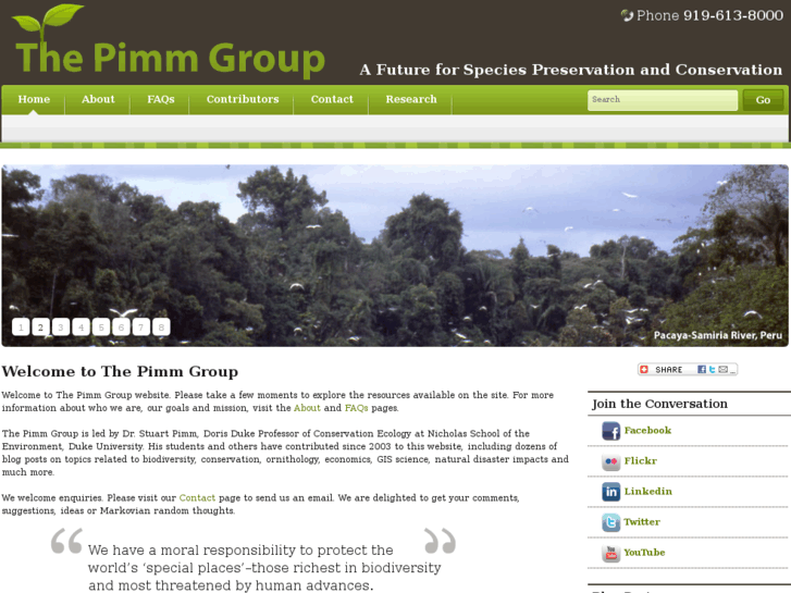 www.thepimmgroup.org