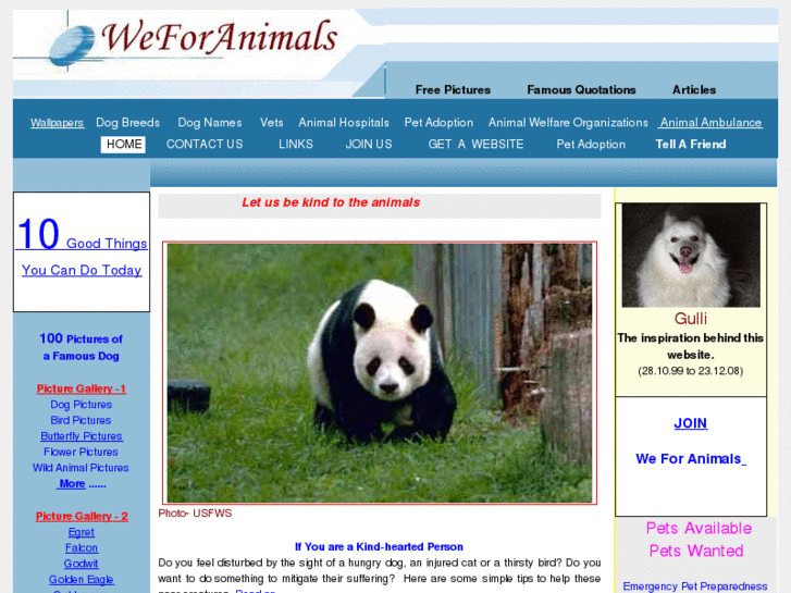 www.weforanimals.com