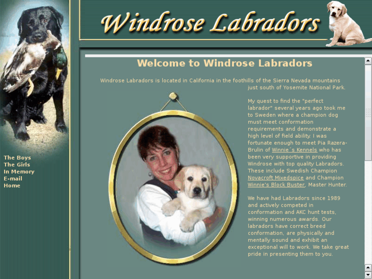 www.windroselabradors.com