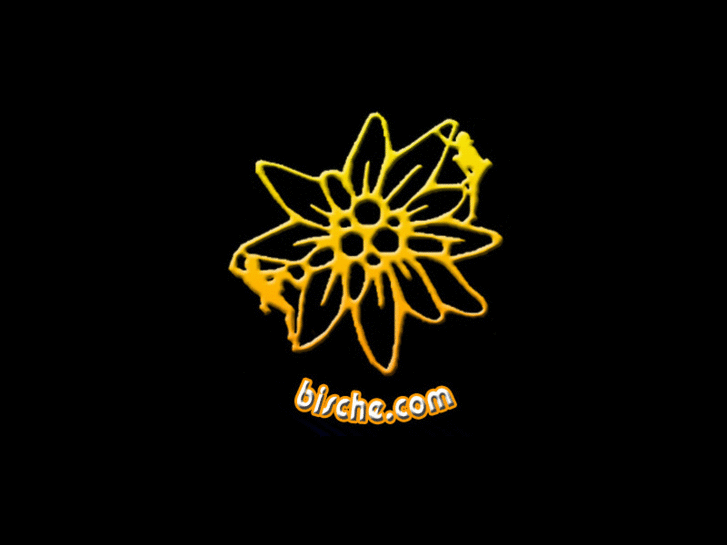 www.bische.com