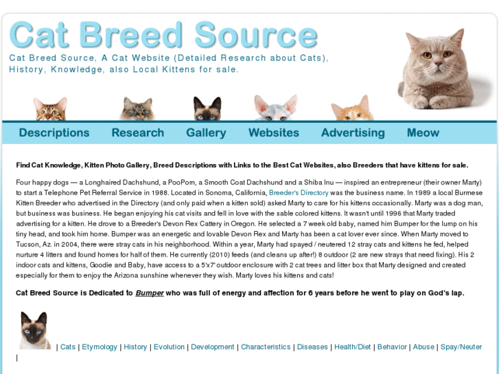 www.catbreedsource.com