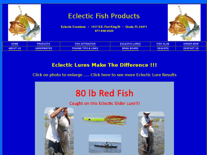 www.eclecticfish.com