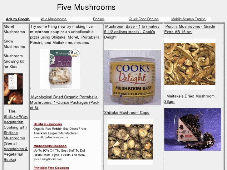 www.fivemushrooms.com