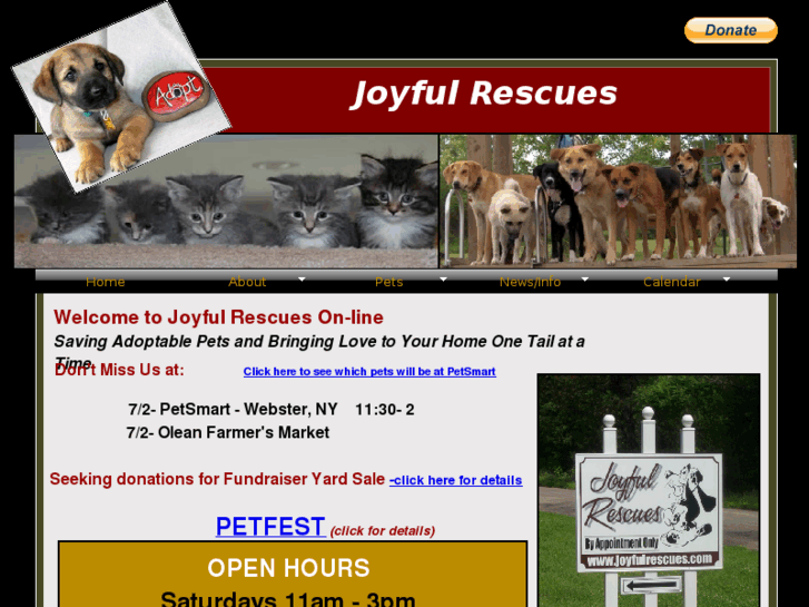 www.joyfulrescue.org