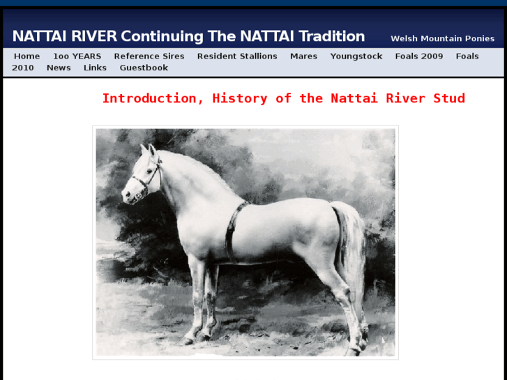 www.nattairiver.com