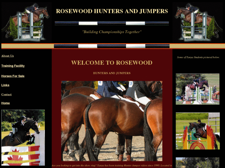 www.rosewoodhuntersandjumpers.com