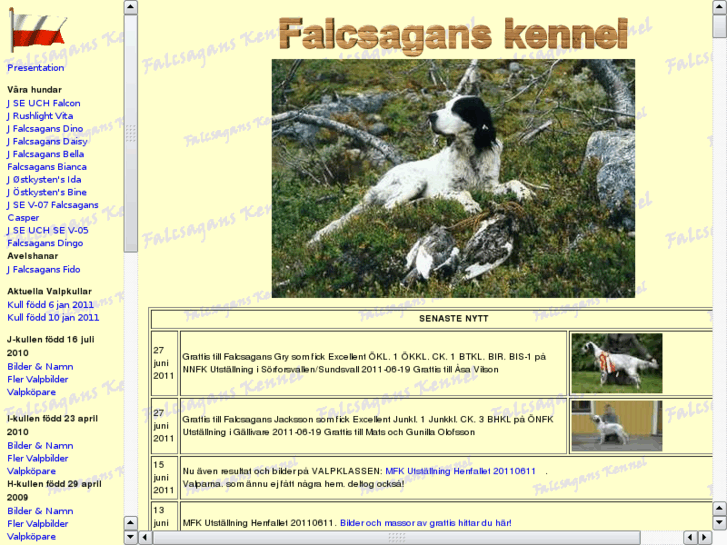 www.falcsagans.se