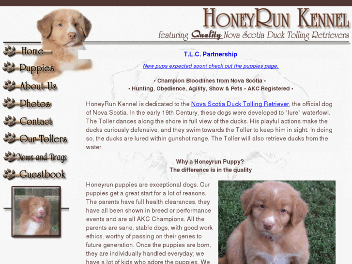 www.honeyruntollers.net