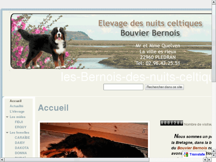 www.les-bernois-des-nuits-celtiques.net