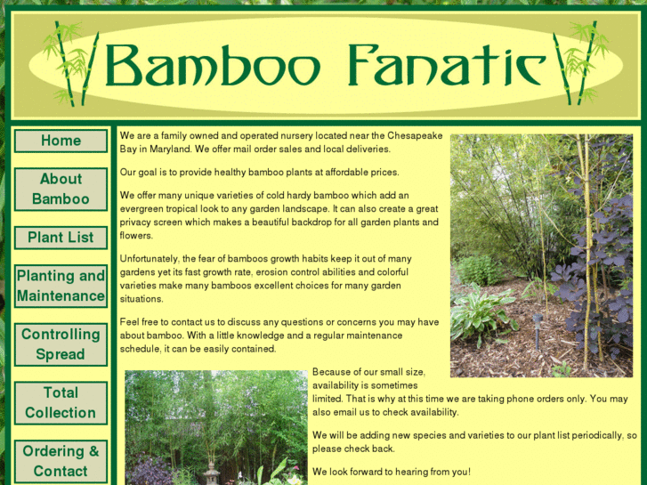 www.bamboofanatic.com