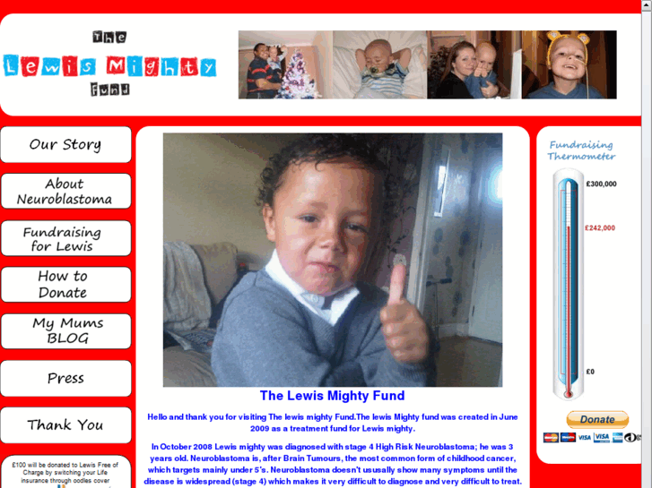 www.lewismightyfund.org.uk