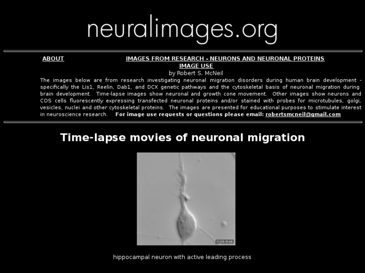 www.neuralimages.org