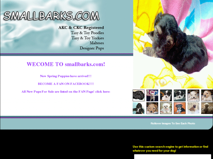 www.smallbarks.com