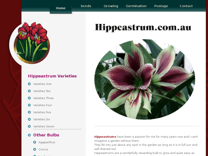 www.hippeastrum.com.au