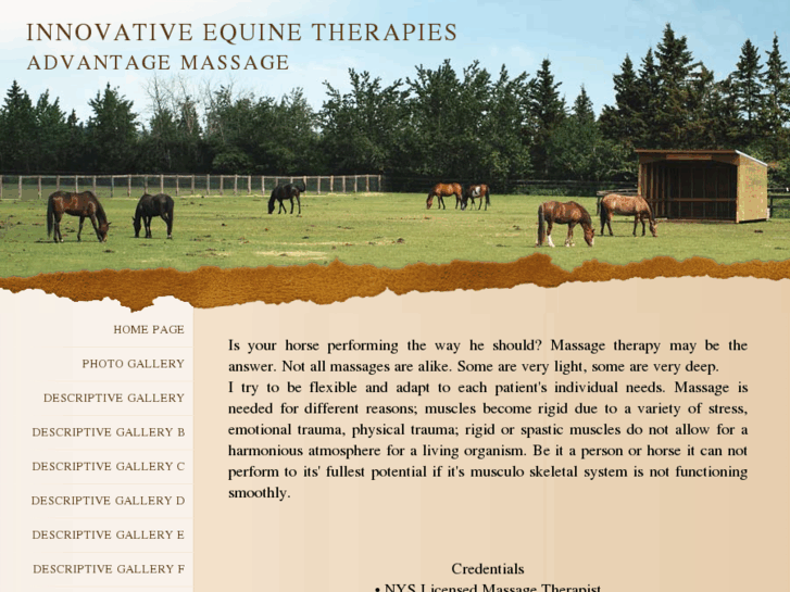 www.innovativeequinetherapy.com