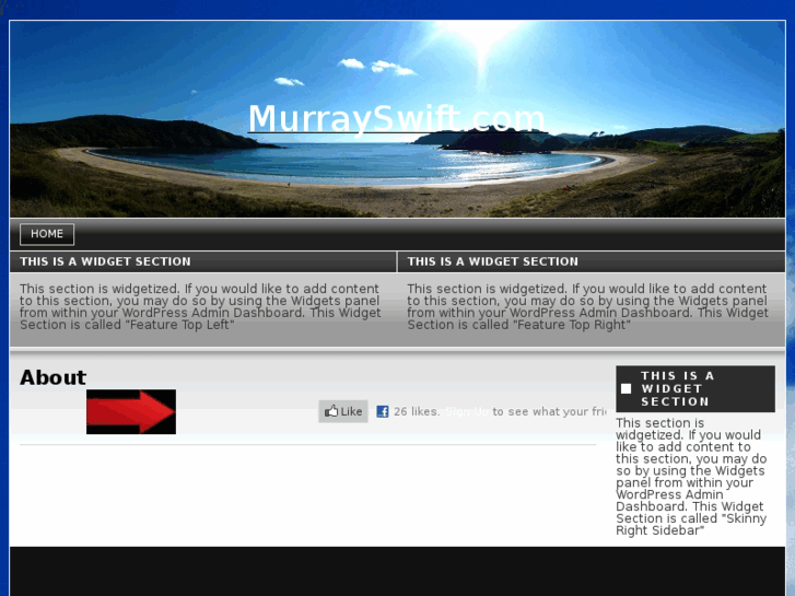 www.murrayswift.com